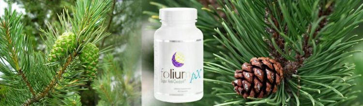 Antioxidant Supplement