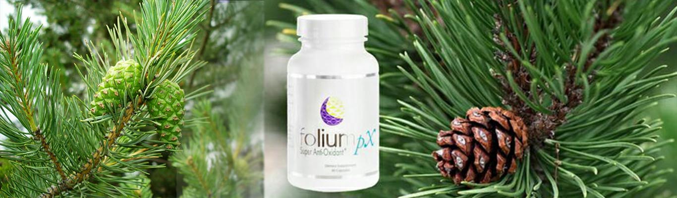 Antioxidant Supplement